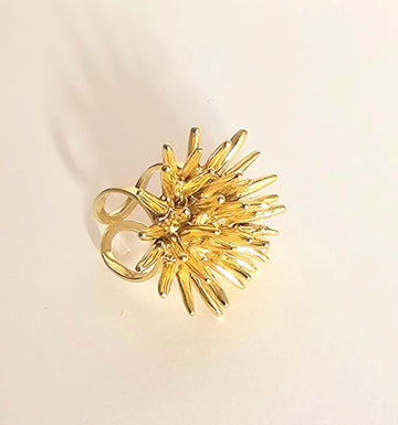 Anello Riccio