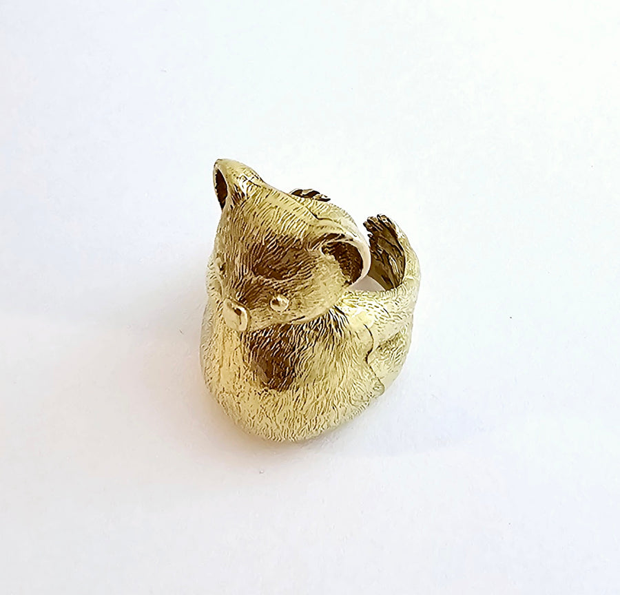 Koala anello