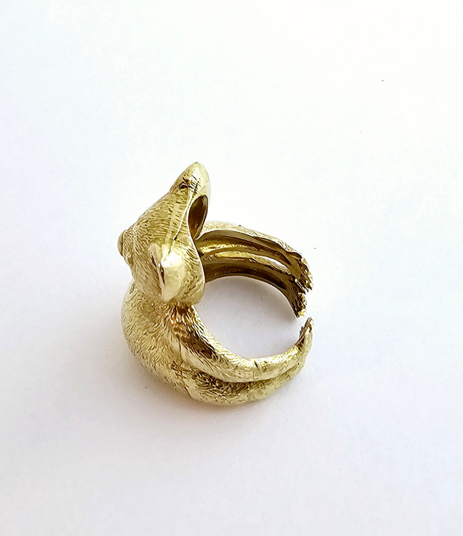 Koala anello